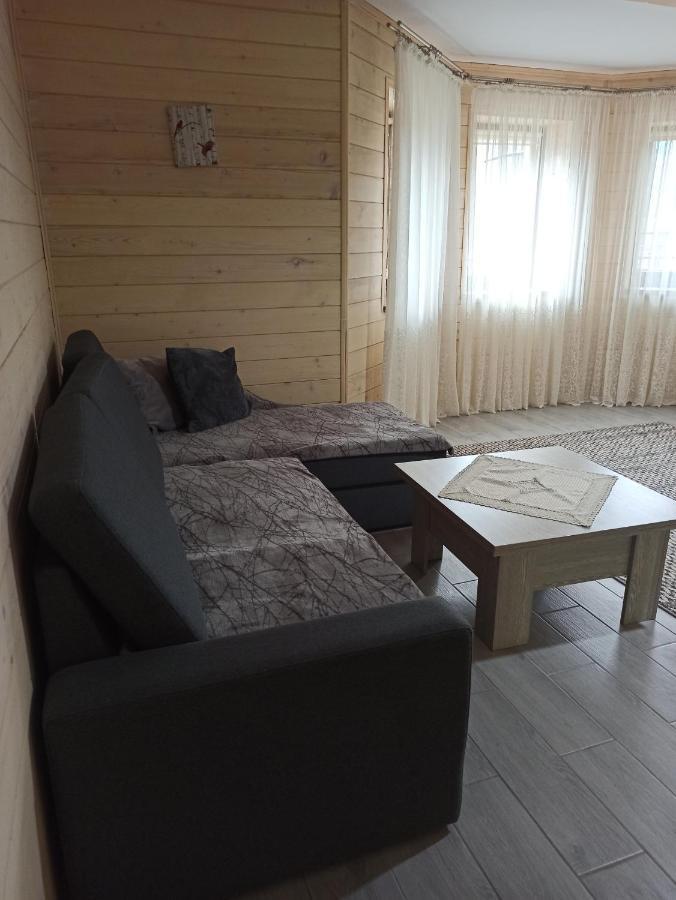 Brand New 2020 Specious Apartment Druzi 2 Паляниця Екстериор снимка